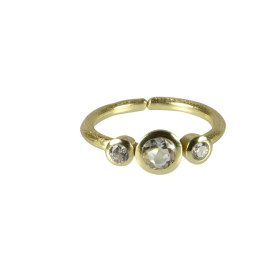 Pure By Nat guldbelagt ring med sten